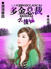 多金总裁小后妈