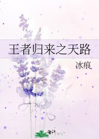 王者归来之天路
