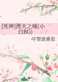 [死神]湮灭之城(小白BG)